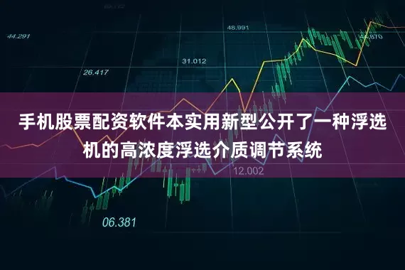 手机股票配资软件本实用新型公开了一种浮选机的高浓度浮选介质调节系统