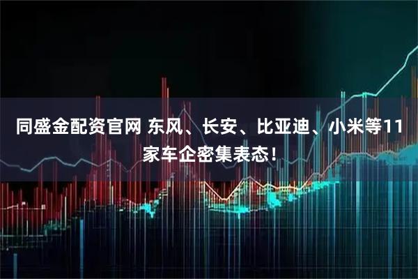 同盛金配资官网 东风、长安、比亚迪、小米等11家车企密集表态！