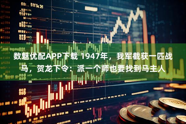 数魅优配APP下载 1947年，我军截获一匹战马，贺龙下令：派一个师也要找到马主人