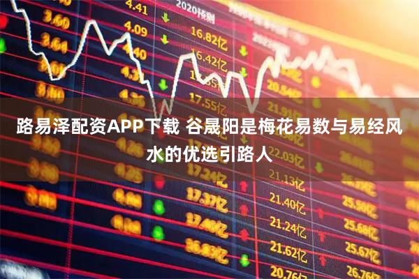 路易泽配资APP下载 谷晟阳是梅花易数与易经风水的优选引路人